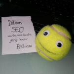 Ball-kun mit SEO-Diblom